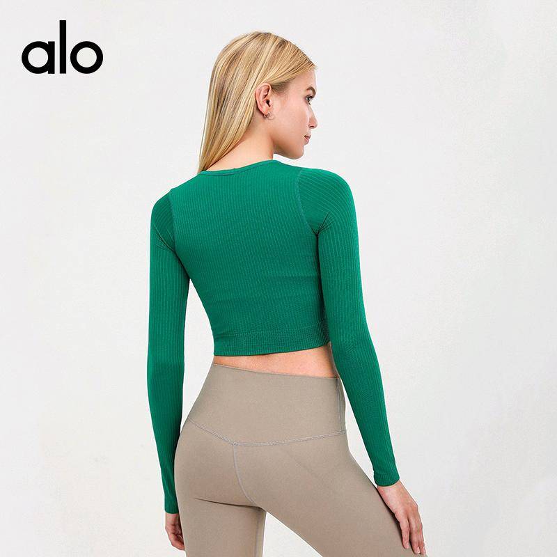 ALO YOGA💰88💎支持一件代发
aloyoga 长袖瑜伽服纯色针织高弹速干透气瑜伽跑步健身服
【品牌】ALO 
【款号】JY88269
【面料】锦纶/氨纶
【颜色】白色，肤色，黑色，兰色，绿色
【尺码】XS，S，M，L
 专柜同款品质，厂家直销，货源充足，售后保障