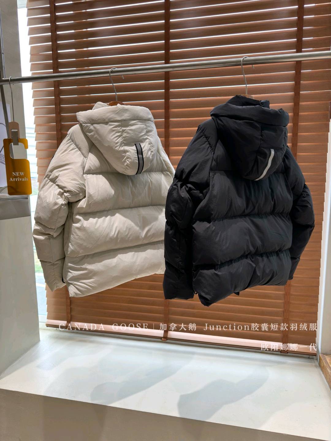 【龙洋专供】🔥𝗖𝗔𝗡𝗔𝗗𝗔 𝗚𝗢𝗢𝗦𝗘｜加拿大鹅 𝗝𝘂𝗻𝗰𝘁𝗶𝗼𝗻胶囊短款羽绒服/欧阳娜娜一代
